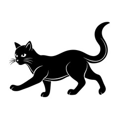 Obraz premium black and white cat