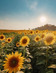 Fototapeta premium Golden Fields of Sunflowers Stretching Toward the Horizon, With Their Faces Turned Toward the Sun Under a Bright Summer Sky, Creating a Picturesque Countryside Scene