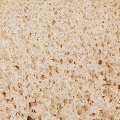 porous uniform texture of white bread