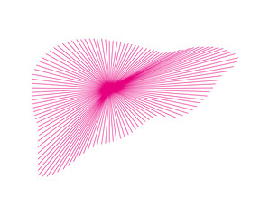 Abstract human liver. Liver vector. Liver design.