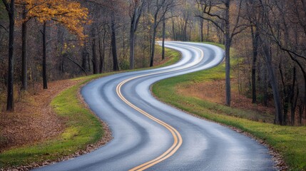 Fototapeta premium Winding Road Through Autumnal Forest