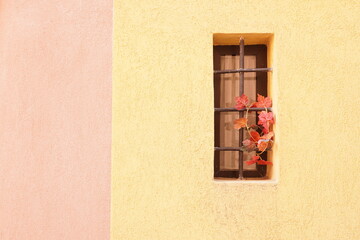 window with flowers