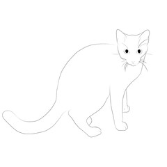猫　線画