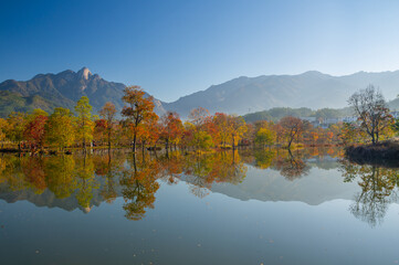 Naklejka premium Late autumn scenery of Jiuzi River Town, in Luotian, China