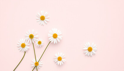 Obraz premium Daisies blossom in a summery floral frame, a beautiful nature illustration