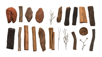 Variety of natural wood pieces and materials. transparent background