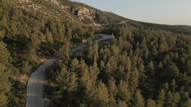 Motorbike in the pine forest on the mountain, aerial footage on sunset 