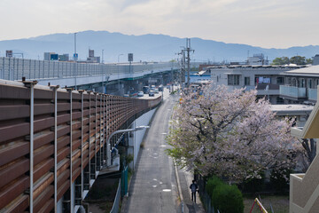 春先の大阪府池田市の街並み
