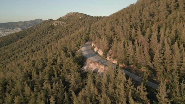 Motorbike in the pine forest on the mountain, aerial footage on sunset 