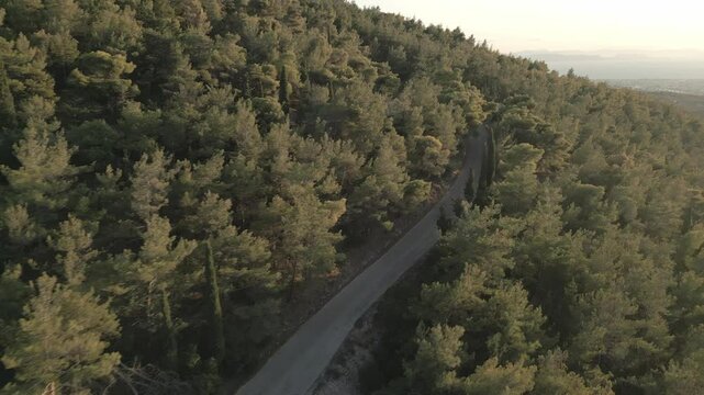 Motorbike in the pine forest on the mountain, aerial footage on sunset 