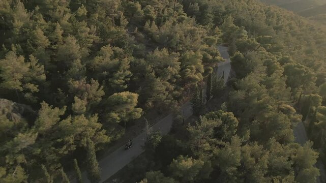 Motorbike in the pine forest on the mountain, aerial footage on sunset 