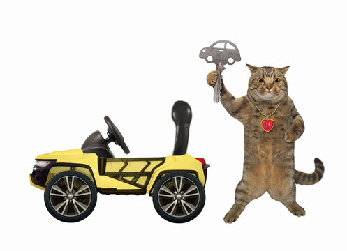 Cat with key at yellow suv car