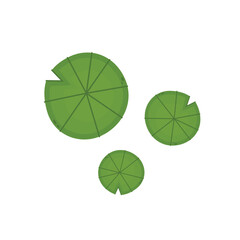 Lily pad icon. Lily cartoon vector on white background. © Supakorn