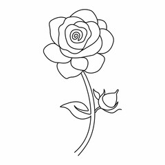 Rose flower continuous one line drawing of valentines day outline vector  illustration