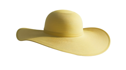 beach hat (png)