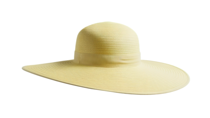 beach hat (png)