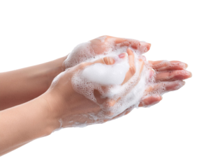 Soaping hands isolated on white background, cut out