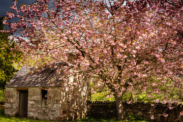Drumnadrochit Graveyard