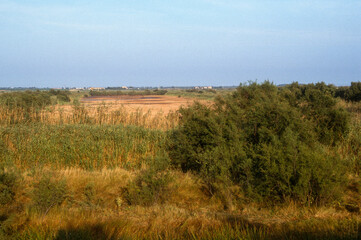 Fototapeta premium Réserve naturelle de Bagnas, 34, Hérault, France