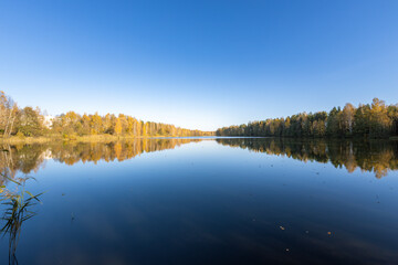 A calm lake with trees in the background