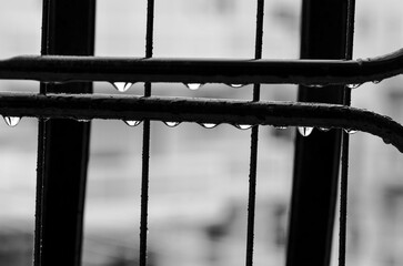 Close Up of Rain Droplets on Metal Bars in Black and White