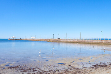 Fototapeta premium Walking along the seaside at Wynnum jetty and Manly, a beautiful sunny clear and blue sky day 