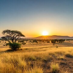 Obraz premium Sunrise Over a Vast Savannah With Golden Grass Stretching to the Horizon, Dotted With Acacia Trees and Backed by Distant Rolling Hills Under a Clear Sky