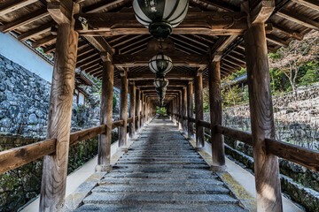 奈良県のお寺、長谷寺