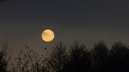 poranne słońce © Marek Polak