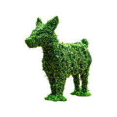 Obraz premium Topiary figure. Isolated on transparent background. 