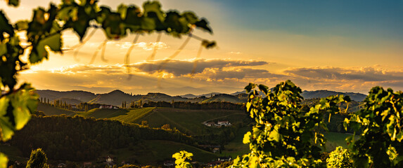 Panorama of Vineyards along the South Styrian Wine Road in Summer, Austria Europe