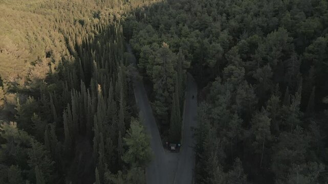 Motorbike in the pine forest on the mountain, aerial footage on sunset 