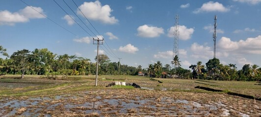 tropical field with trees and clouds