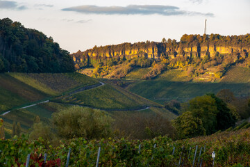 Obraz premium Panoramic view of terraced vineyards around Nittel, Rhineland-Palatinate, Germany and views across Moselle River on vineyard hills of Luxembourg near Grevenmacher