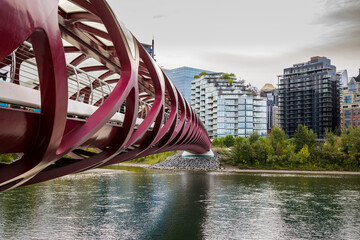 Travel destination Calgary. Peace Bridge across Bow River with Modern City Buildings in Background