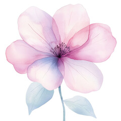Fototapeta premium Delicate pink flower blooming nature scene watercolor artwork soft background aesthetic beauty for art lovers