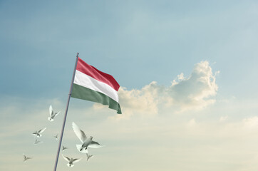 Fototapeta premium Hungary flag waving with flying doves in beautiful sky. Hungary flag for Republic Day and Independence Day.