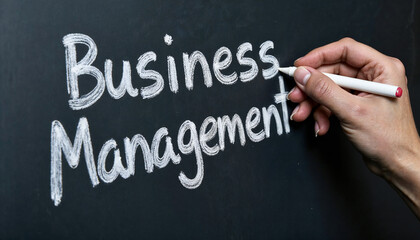 Fototapeta premium business management