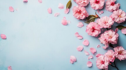 Obraz premium Spring Horizontal banner with sakura flowers. Beautiful nature season background with a branch of blooming cherry. Copy space for text, selective focus