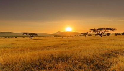 Obraz premium Sunrise Over a Vast Savannah With Golden Grass Stretching to the Horizon, Dotted With Acacia Trees and Backed by Distant Rolling Hills Under a Clear Sky
