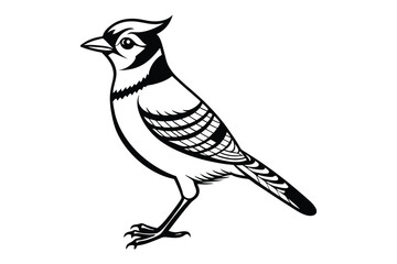Obraz premium blue joy animal bird silhouette vector illustration