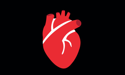 Real human heart organ icon Red heart heart icon in flat style isolated vector illustration. human heart. medical icon. health symbol.
