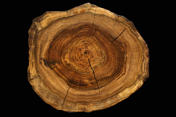 Circular walnut slab with cracks oil finished surface isolated on black