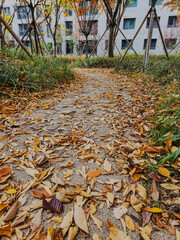 a path in a park off the side of a fall