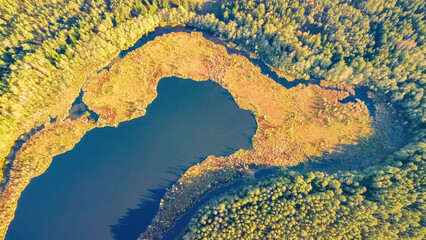 Aerial view of the lake in Lithuanian forests, autumn wildlife. Name of the lake "Vainabalis", Varena district, Europe