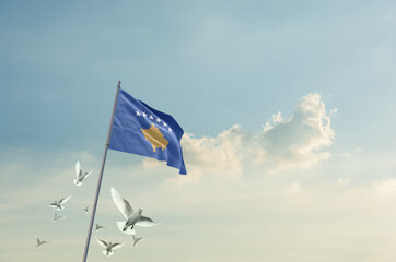 Kosovo Flag Waving With Flying