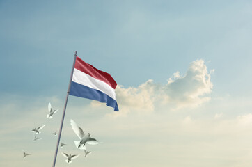 Netherlands flag waving with flying doves in beautiful sky. Netherlands flag for Republic Day and...