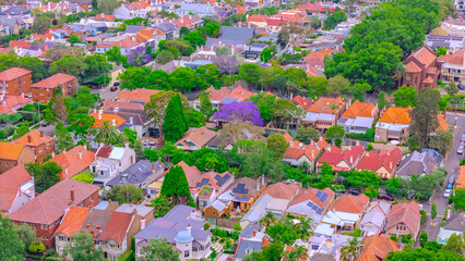 Naklejka premium Aerial drone view over Sydney inner suburb of Glebe and Annandale close to Sydney Harbour NSW Australia beautiful colourful roof and tree lined streets green orange purple