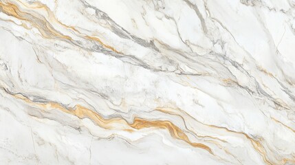 Obraz premium Elegant White and Gray Marble Texture Background