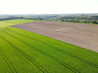 View from above of farm fields with green unripe barley and plowed dirt in spring 